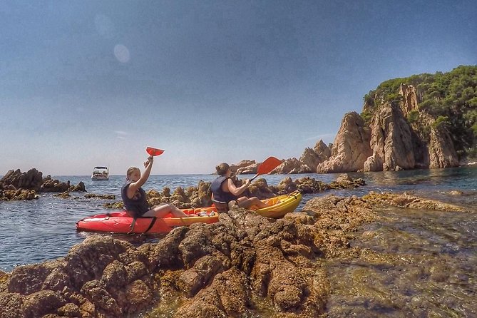 Costa Brava Tour with Kayak & Lagoon Snorkeling - Sea caves, cliffs, and the best kind of wildlife spotting