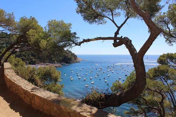 Costa Brava Typical Towns Full Day Tour from Barcelona - Pals hilltop medieval town: cobblestones, a 12th-century tower, and big terrace views