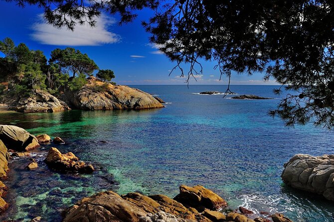 Dali Museum and Costa Brava Small Group Tour - Price and value: what you’re really paying for at $120.04