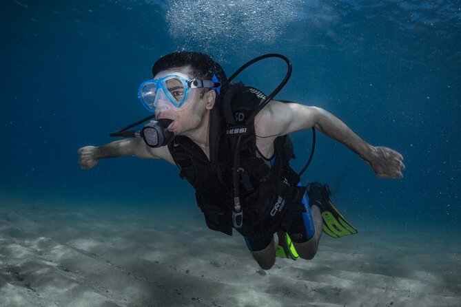 Discover PADI Diving in Barcelona - Key highlights I’d plan around