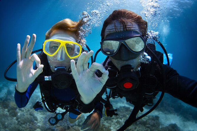 Discover PADI Diving in Barcelona - The 2-hour plan: from gear basics to underwater sign language