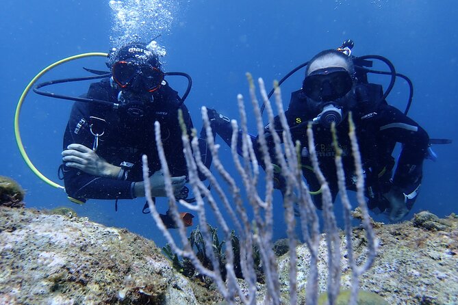 Diving baptism in the Montgrí Natural Park - Instructor-First Safety: What Makes This Feel Beginner-Friendly