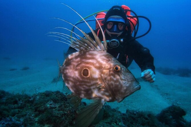 Diving Course with PADI Certification in Costa Brava - Costa Brava scuba certification in Tossa de Mar, Girona