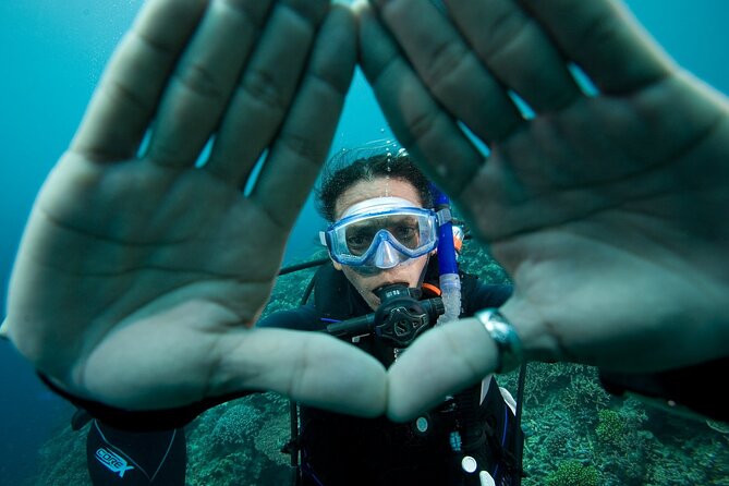 Diving Course with PADI Certification in Costa Brava - Your full-day schedule: gear, skills, and finishing strong