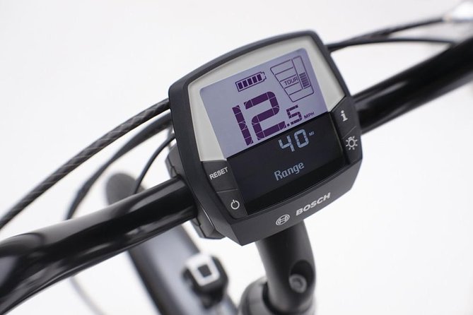 E-Bike tour in Barcelona with English Guide - Choosing the Electra Townie Go e-bike: what to look for