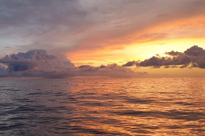 Experience Stand Up Paddle Sunrise - Sunrise SUP Over Barceloneta: Why 7:00 am Actually Makes Sense