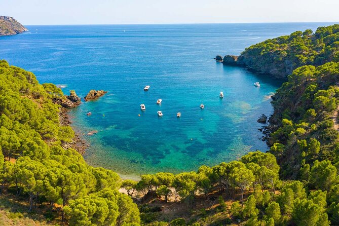 Explore Cap Norfeu and the Secret Cave: An Underwater World - Should you book Cap Norfeu and the Secret Cave?