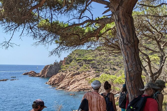 Explore Costa Brava & Tossa de Mar Coastal Trails, Snorkel & Meal - Walking the Cami de Ronda Coastal Path