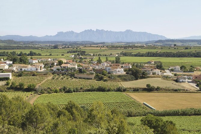 Food and Wine Small Group Tour from Barcelona - Maximum 8 people - Key highlights that make this day trip work