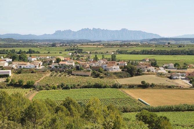 Food and Wine Small Group Tour from Barcelona - Maximum 8 people - Price and value: where the $240.66 per person pays off