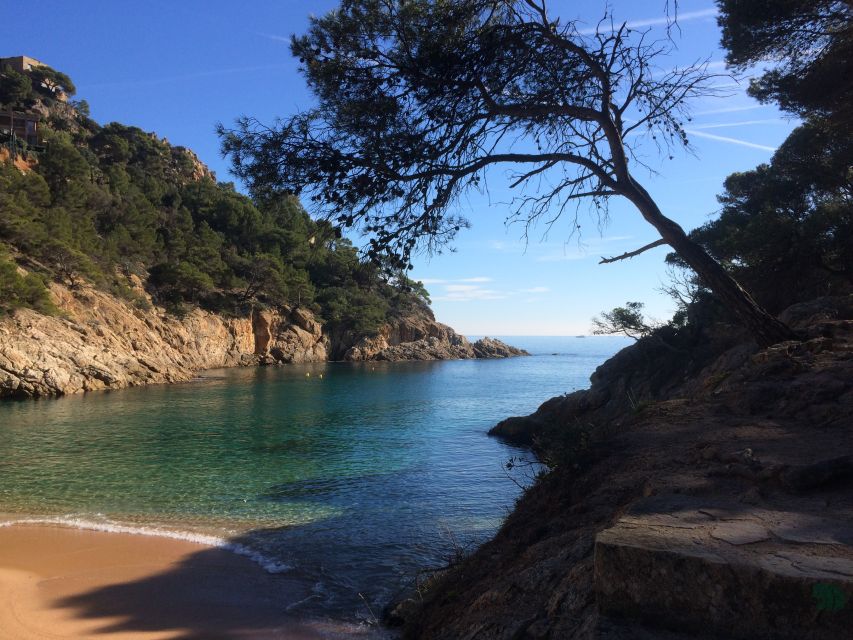 From Barcelona: Costa Brava Hike, Snorkel & Tossa de Mar - Should you book this Costa Brava hike with Tossa de Mar?