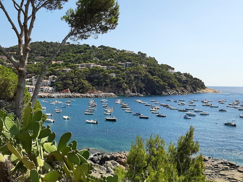 From Barcelona: Costa Brava Typical Towns full day tour - Llafranc: beach time, lunch on your terms, and a swim option