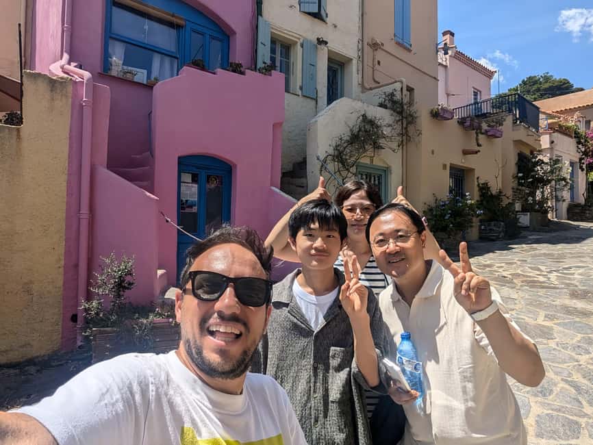 From Barcelona: Day Trip to France with Girona Visit - The drive toward Collioure: crossing to France and spotting the Pyrenees