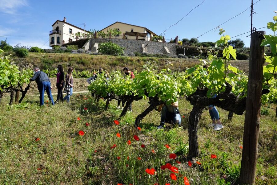From Barcelona: E-Bike and Sailing Tour with Wine Tastings - Key things that make this tour work