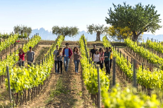 From Barcelona: El Penedès Hike & Wines - Key Points to Know Before You Go