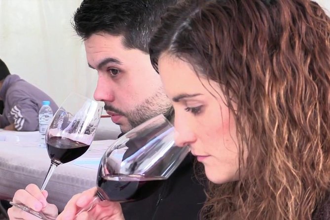 From Barcelona: El Penedès Hike & Wines - Why El Penedès Works as a Day Trip From Barcelona
