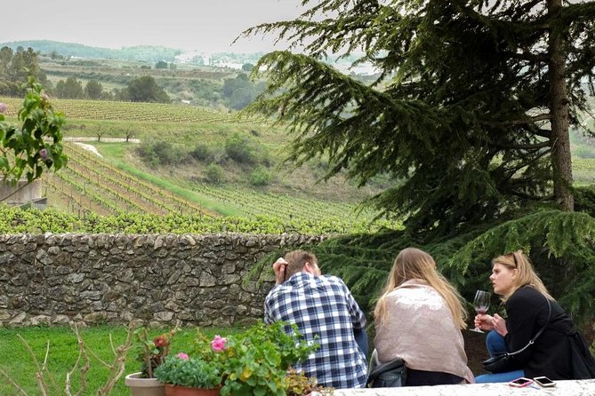 From Barcelona: El Penedès Hike & Wines - Price and Value: What You’re Actually Paying For