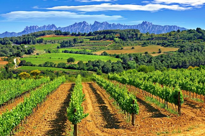 From Barcelona: El Penedès Hike & Wines - Getting There at 9:00 AM, With a Private Air-Conditioned Ride