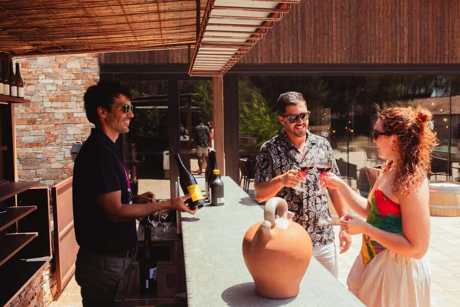 From Barcelona: Full-Day Montserrat & Wine Small Group Tour - Key things to know before you go