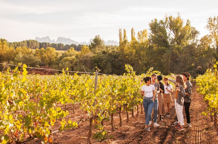 From Barcelona: Full-Day Montserrat & Wine Small Group Tour - Oller del Mas: lunch first, then the castle winery