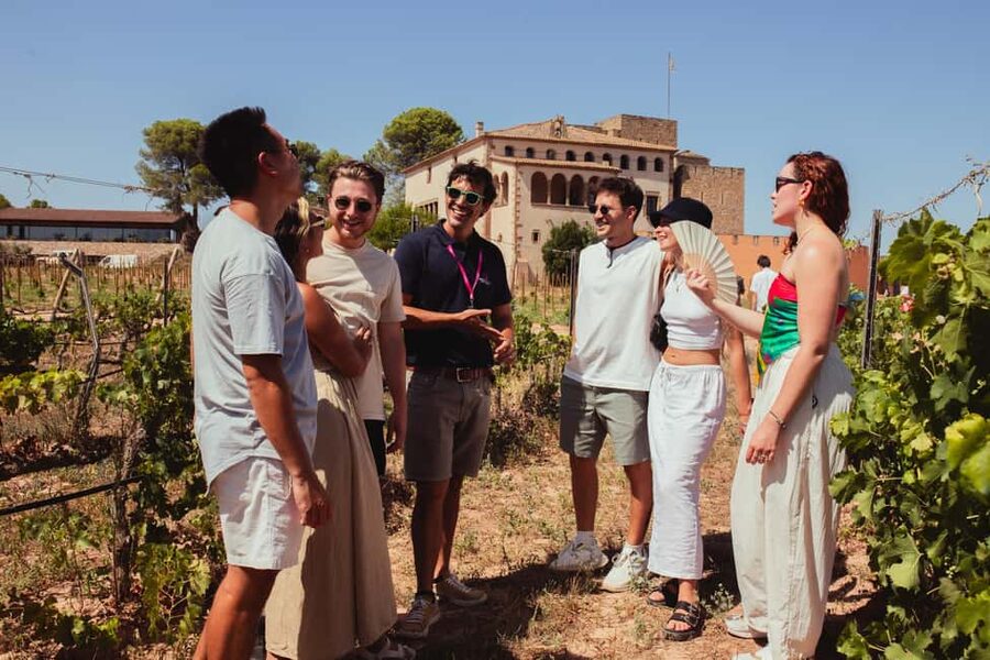 From Barcelona: Full-Day Montserrat & Wine Small Group Tour - Price and value: what $117 gets you, and where it saves time