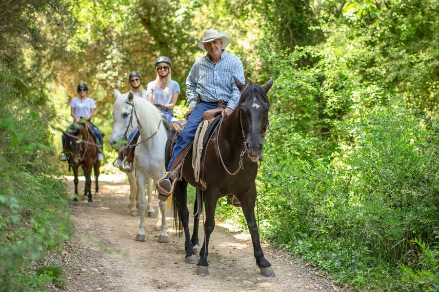 From Barcelona: Half-Day Montserrat & Horse Riding Tour - Timing and pacing: how 5.5 to 6 hours really feels