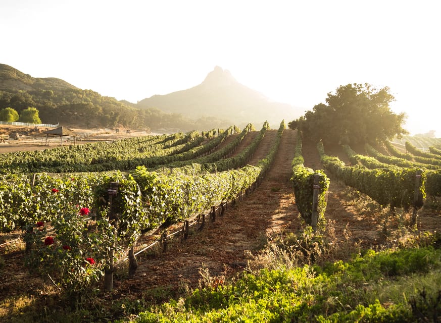 From Barcelona: Half-Day Trip to Montserrat Mountain - FAQ