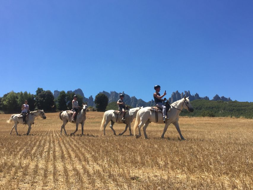 From Barcelona: Horseback Tour in Montserrat National Park - Key Things You’ll Notice on This Montserrat Horse Tour
