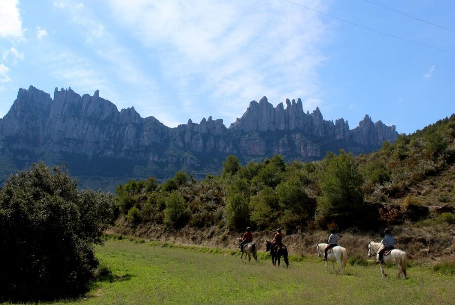 From Barcelona: Horseback Tour in Montserrat National Park - Horseback Through Montserrat National Park: The Real Payoff
