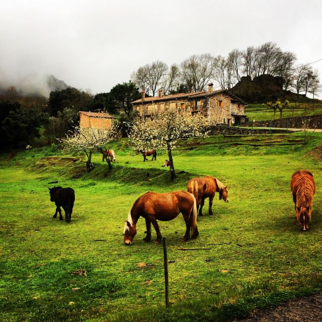 From Barcelona: Medieval Villages and Volcanic Hiking Tour - Castellfollit de la Roca: the cliffside village moment
