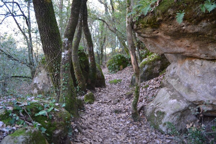 From Barcelona: Medieval Villages and Volcanic Hiking Tour - What the tour includes, what it does not, and how to pack