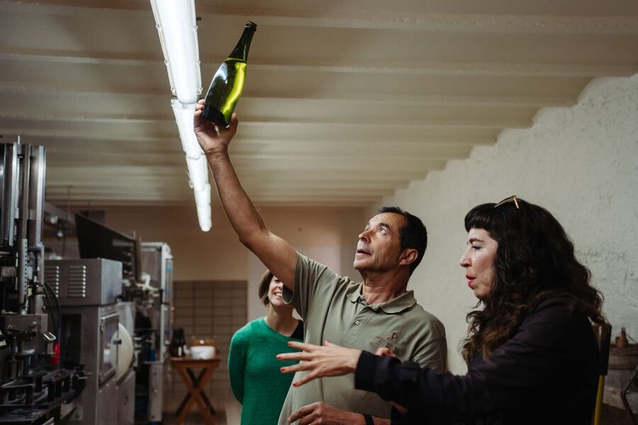 From Barcelona: Montserrat & Cava Winery Day Trip - Lunch in the vineyard: where the day turns from sightseeing to savoring