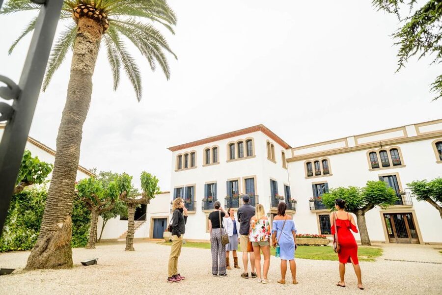 From Barcelona: Penedés Vineyards Tour by 4WD w/Wine & Cava - Tastings, Pairings, and How Much You Really Drink