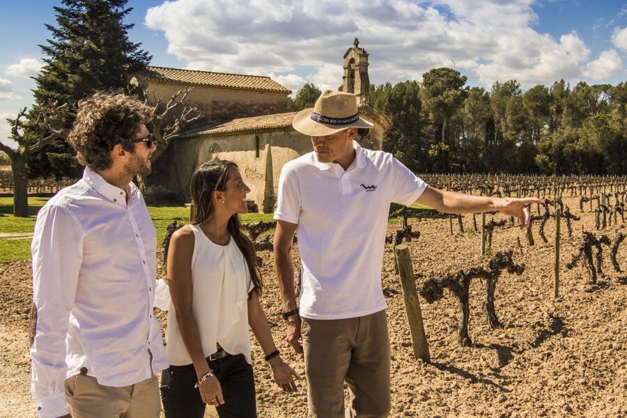 From Barcelona: Penedés Vineyards Tour by 4WD w/Wine & Cava - Price and Value: Is $85 a Good Deal?