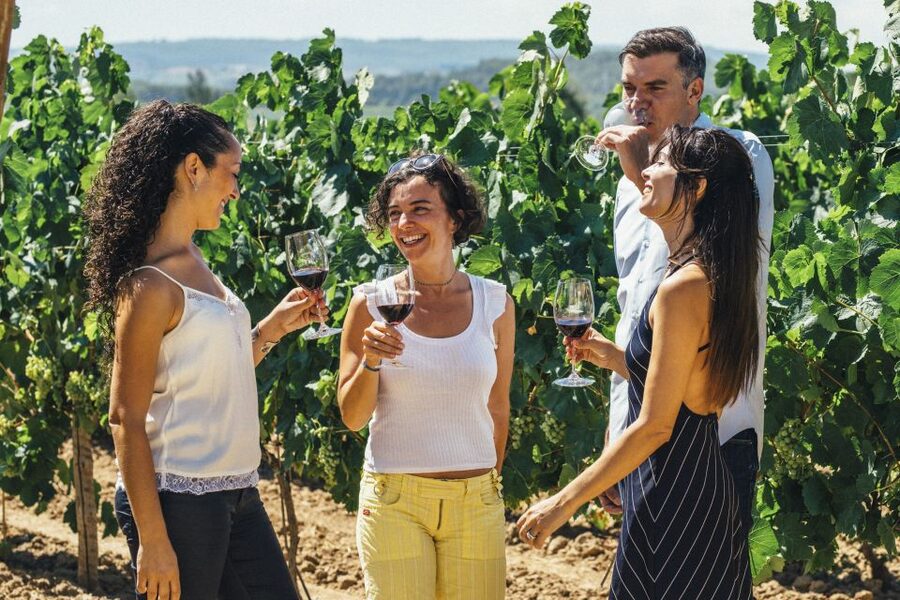 From Barcelona: Penedés Vineyards Tour by 4WD w/Wine & Cava - Can Bas: Tasting Still Wine at a Very Old Estate