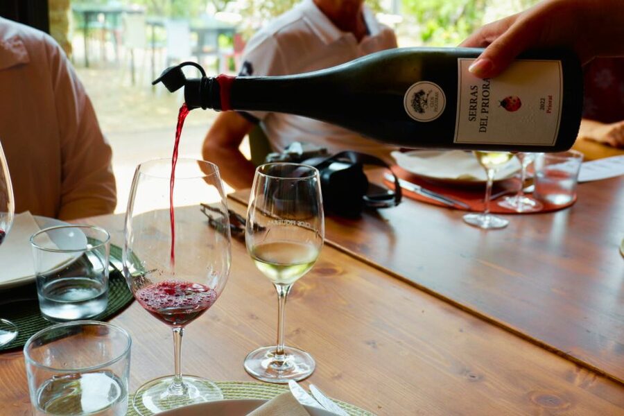 From Barcelona: Priorat's Exclusive Cellars, Wines & Nature - Why Priorat reds feel different in your glass