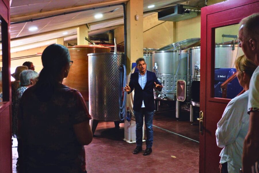 From Barcelona: Priorat's Exclusive Cellars, Wines & Nature - Stop 1: Your first Priorat tasting, building context before the cellar time
