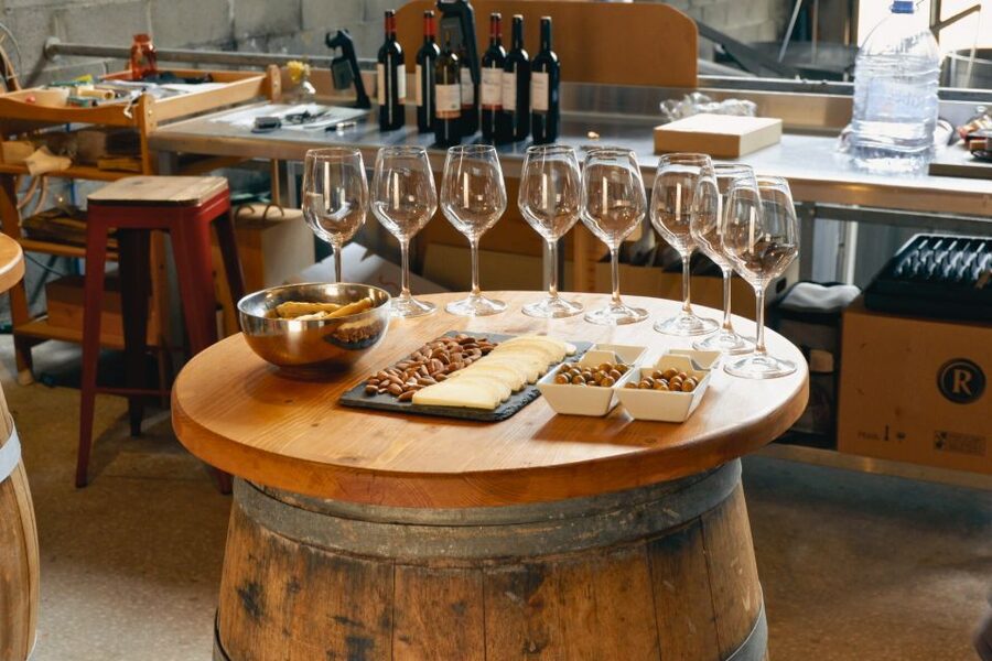 From Barcelona: Priorat's Exclusive Cellars, Wines & Nature - Who should book this Priorat wine and nature day