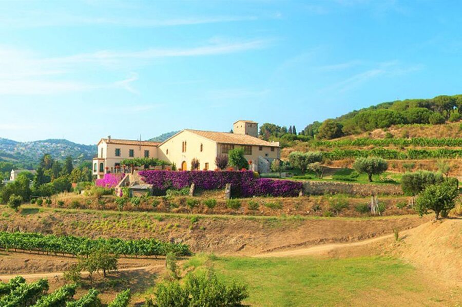 From Barcelona: Private Alella Wine Tour by Electric Bike - Key Points You Should Know Before You Go
