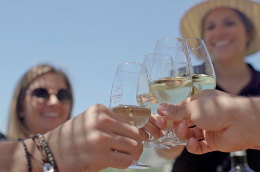 From Barcelona: Private Alella Wine Tour by Electric Bike - Should You Book This Alella E-Bike Wine Tour?