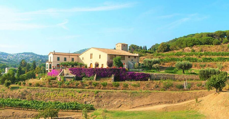 From Barcelona: Private Alella Wine Tour by Electric Bike - Alella’s Organic Winery Visit: Historic Vines and Practical Wine Knowledge