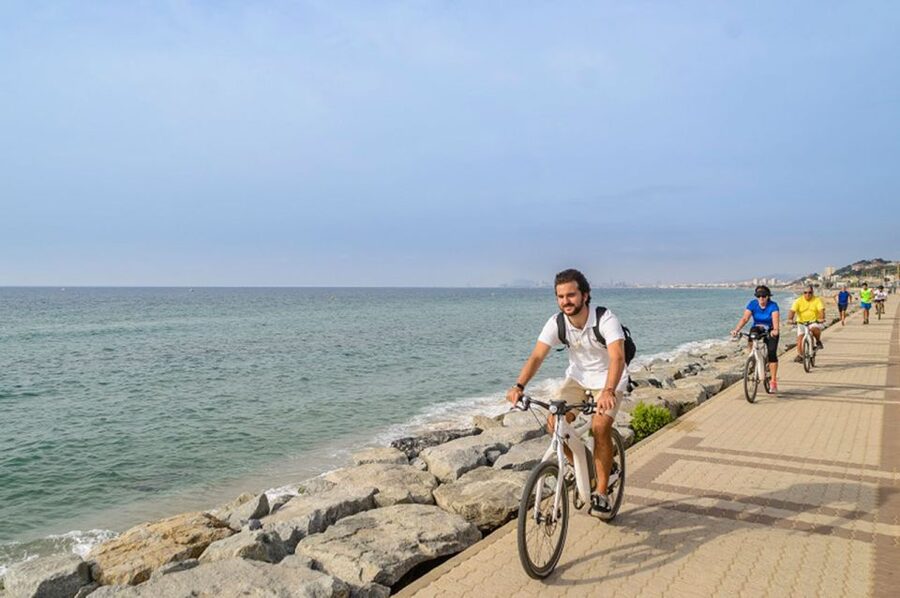 From Barcelona: Private Alella Wine Tour by Electric Bike - Picnic in the Vineyards: Local Food, Good Views, and Sometimes Music