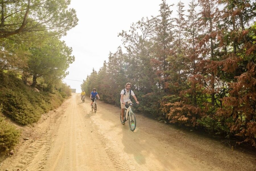 From Barcelona: Private Alella Wine Tour by Electric Bike - Price and Value: Why $294 Can Make Sense