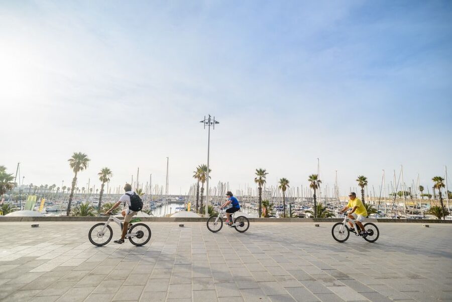 From Barcelona: Private Alella Wine Tour by Electric Bike - Who This E-Bike Wine Day Is Best For (and Who Should Skip It)