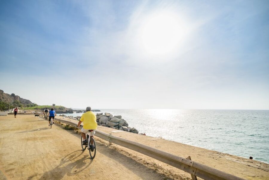 From Barcelona: Private Alella Wine Tour by Electric Bike - Electric E-Bikes and the Real Effort Behind the “Easy” Ride