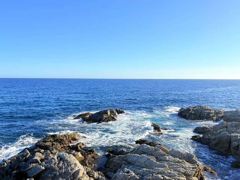 From Barcelona: Private Costa Brava Guided Tour - Key highlights worth your attention