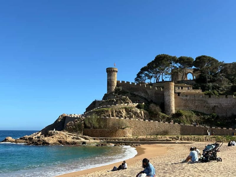 From Barcelona: Private Costa Brava Guided Tour - The Boat Option: Panoramic Tickets and How to Budget