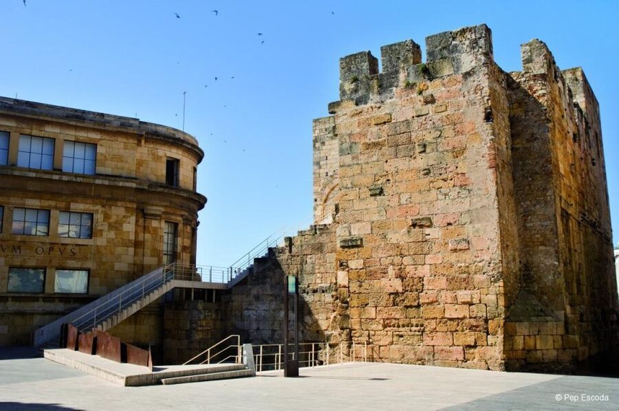 From Barcelona: Private Full-Day Tarragona and Sitges Tour - Roman Tarraco on foot, Forum, walls, circus ruins, and amphitheater context