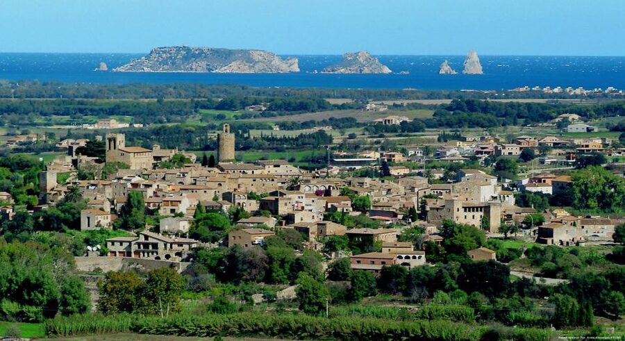 From Barcelona: Private Girona and Costa Brava Guided Tour - Calella de Palafrugell: Coastal Atmosphere and Lunch by the Water