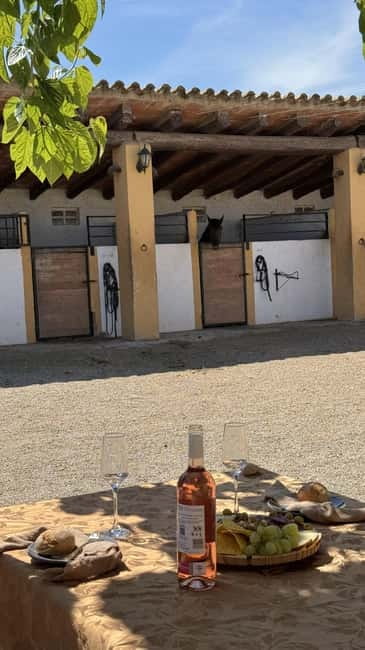 From Barcelona: PRIVATE Horseback Ride + Tapas + Wine Picnic - Private Horseback Ride: What You Really Get in Penedès